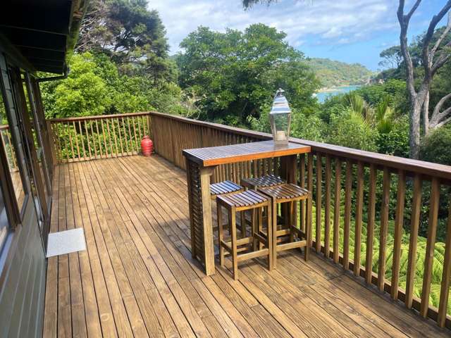 169 Shoal Bay Road Great Barrier Island_1