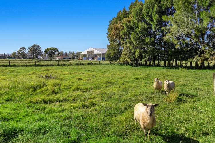149 Hallett Road Otakiri_27
