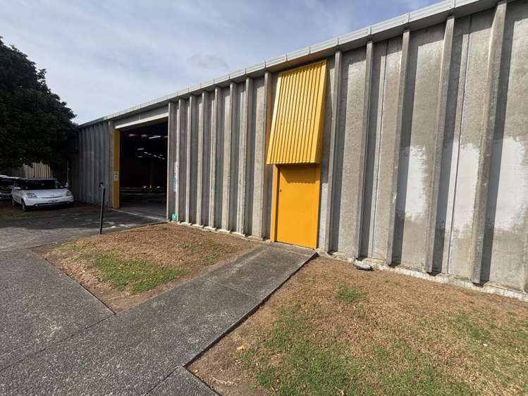 11 McDonald Street Morningside_13