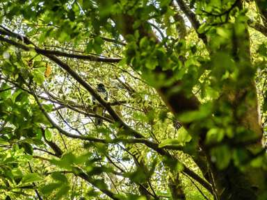 Lot 3 6A Waiata Road_3