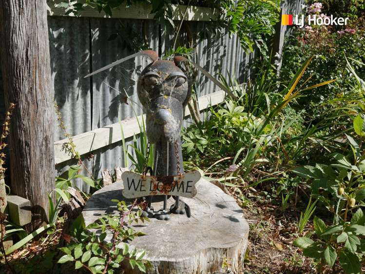 39 Kirkwall Street Palmerston_21