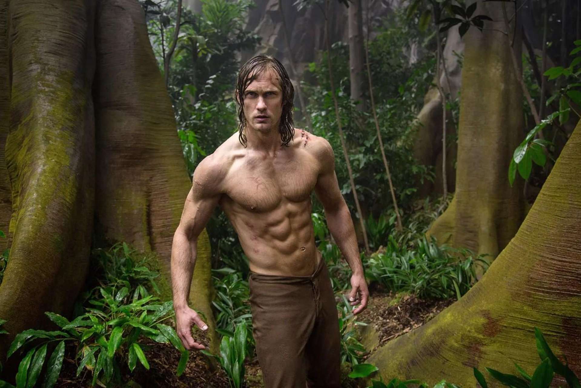 Allot 50 Parish Aotea Rosalie Bay Road Great Barrier Island_0