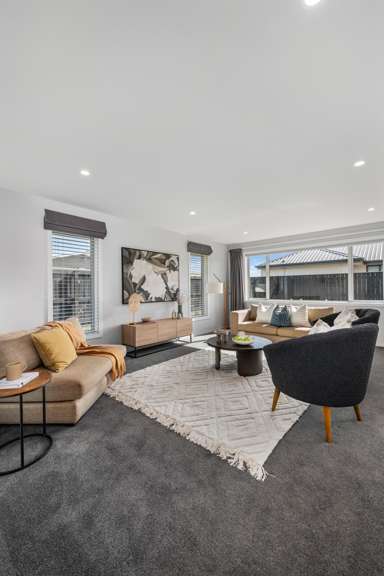 81B Havelock Street_4