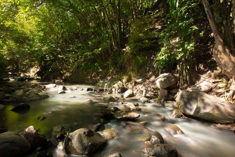 110 Bowen Place Thames_25