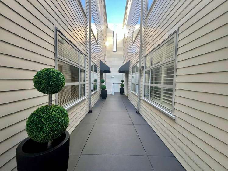 25M George Street Mt Eden_0