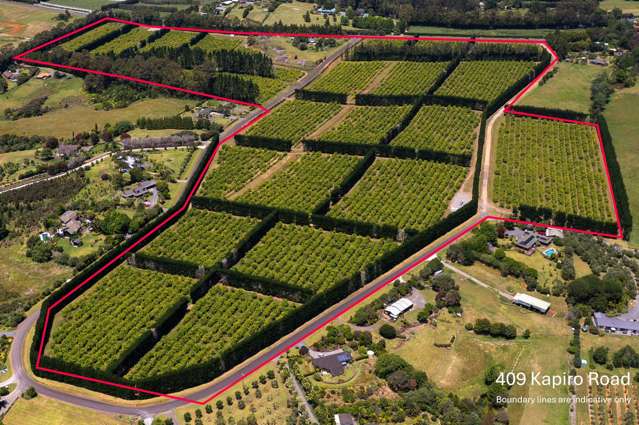 89 Kapiro Road, 108 Kapiro Road, 409 Kapiro Road and 147 Stanners Road Kerikeri_1
