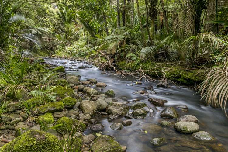 19 Opanuku Road Henderson Valley_16