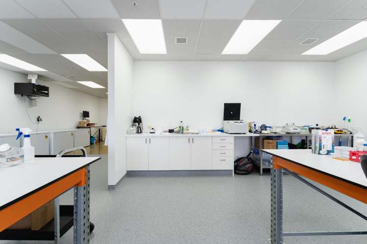 248 Cumberland Street Dunedin Central_46