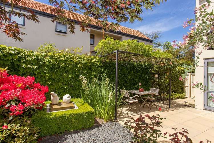 63 Winchester Street Merivale_17