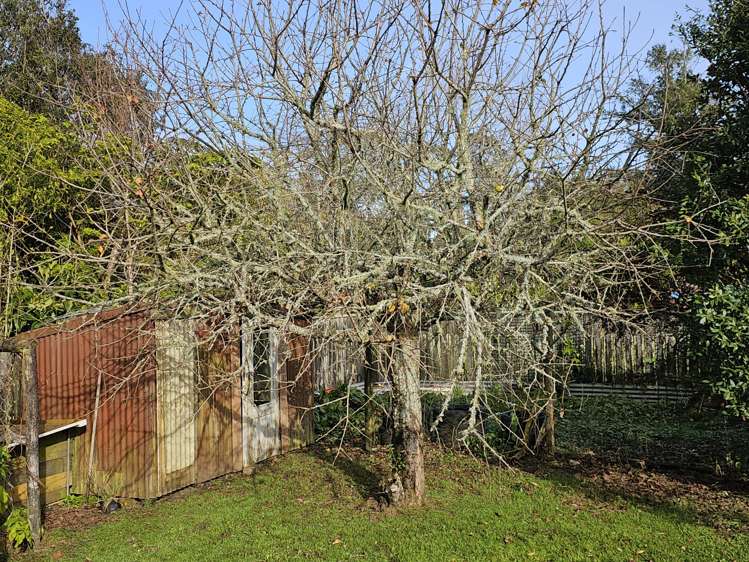 156 Brougham Street Westport_19