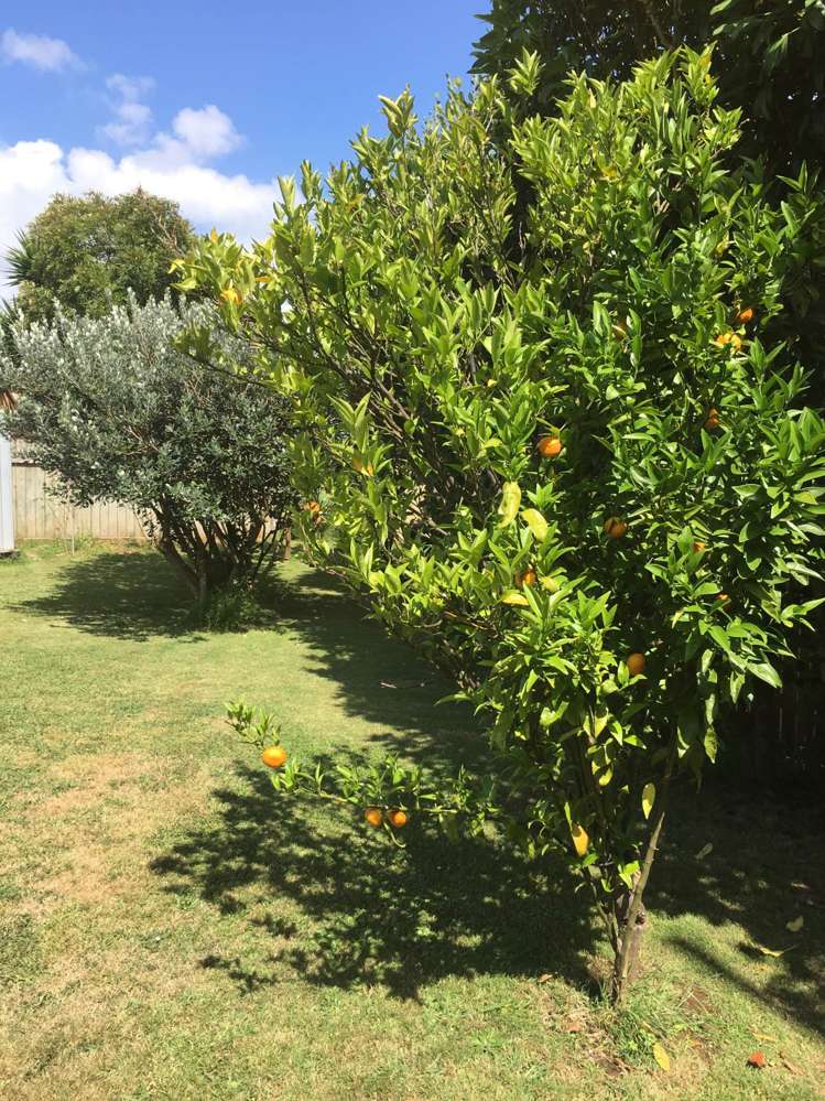 16 Oakleigh Avenue Takanini_20