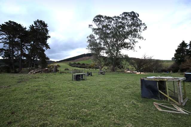 342 Niagara Waikawa Road Catlins Surrounds_3