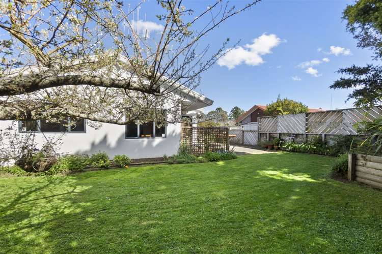 51 Splitt Avenue Glenview_23