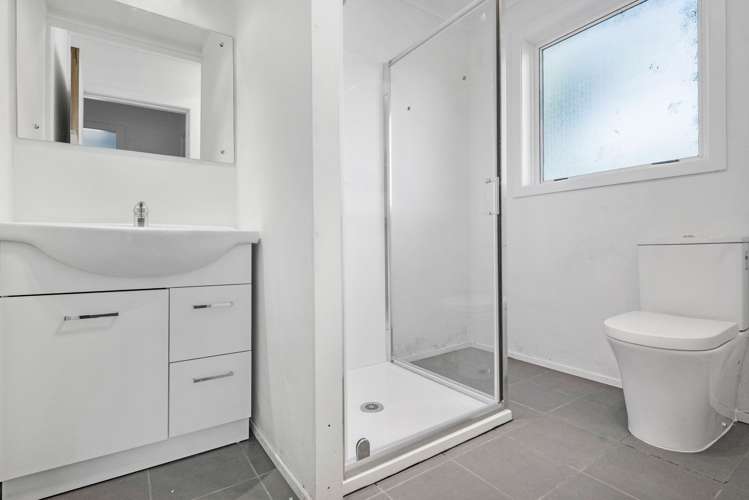 23 Carlton Street Hillsborough_8