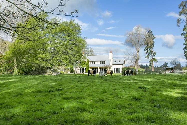 100 Beach Road East Ashburton_34