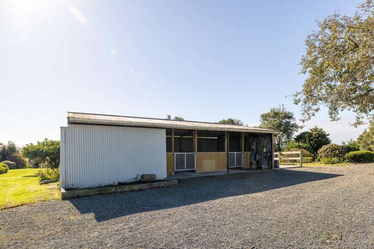 485 Chapman Road Pukekawa_18