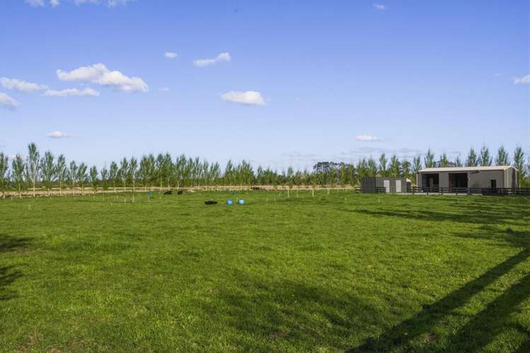 95A Limmer Road Te Kowhai_28