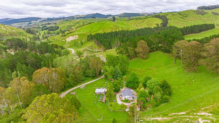 1655 Annedale Road Tinui_7