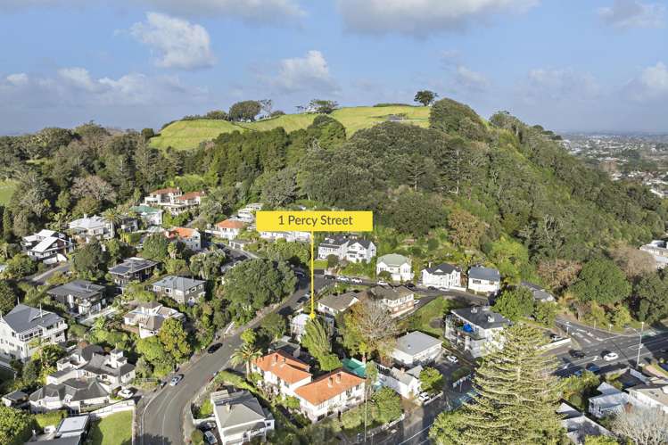 1 Percy Street Mount Eden_16