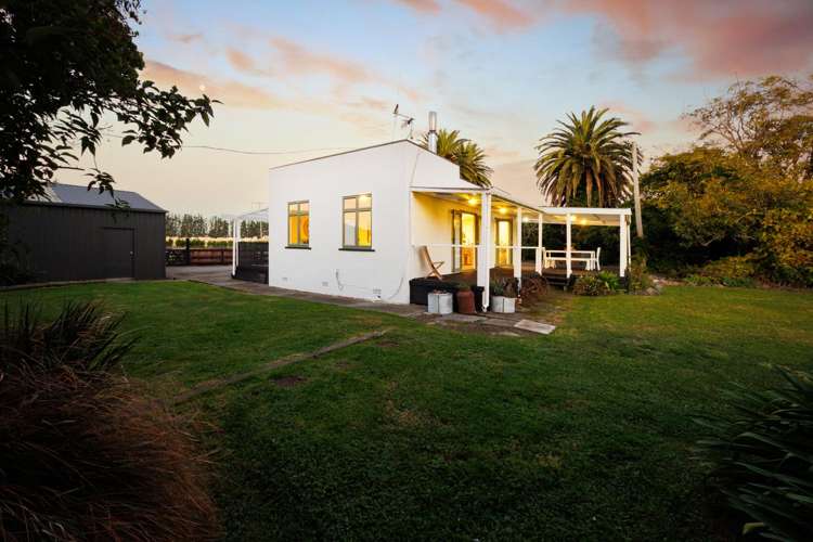 292 Kairanga Bunnythorpe Road Bunnythorpe_51