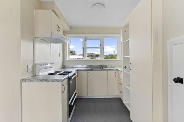 33 Forbes Road Favona_4