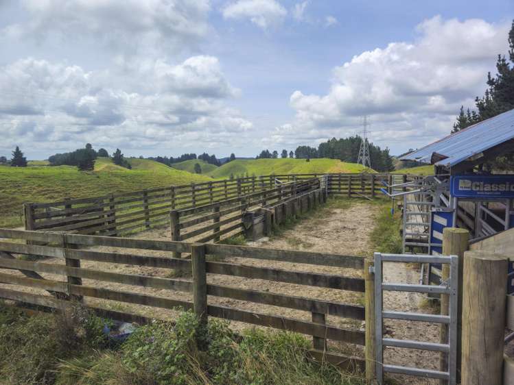 248 Lichenstein Road Okere Falls_11