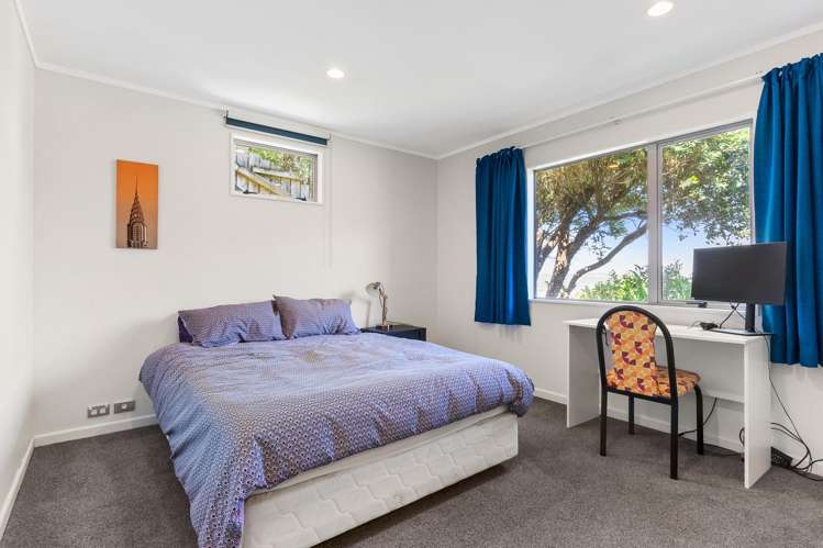 38 Rakau Road Hataitai_10