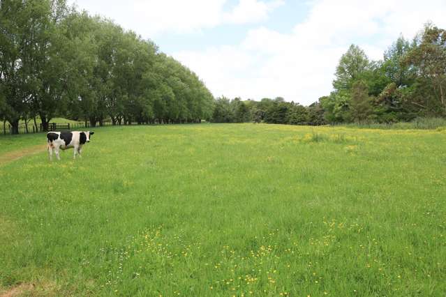 5272 Kaipara Coast Highway Wellsford_1