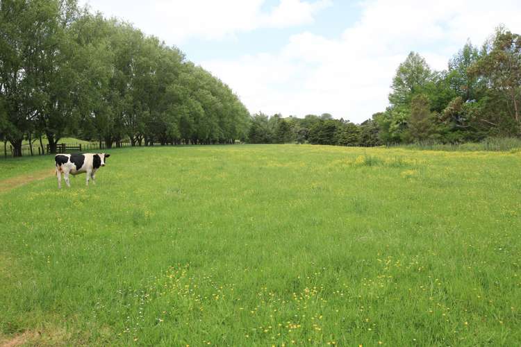 5272 Kaipara Coast Highway Wellsford_1