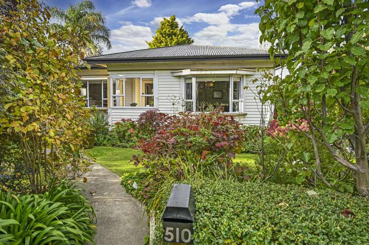 510 Alexandra Street Hastings_19