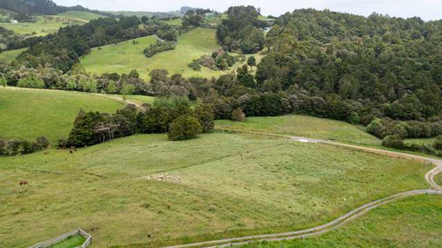 Proposed Lots 2 & 3/113 Kereru Lane Mangawhai_3