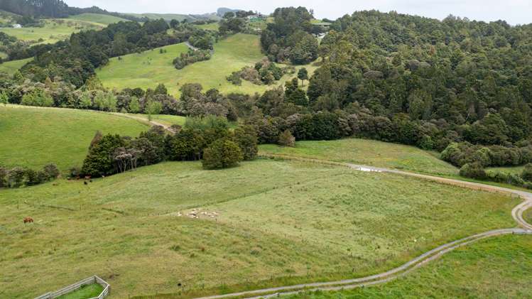 Proposed Lots 2 & 3/113 Kereru Lane Mangawhai_2