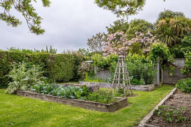 6 Udy Street Greytown_16