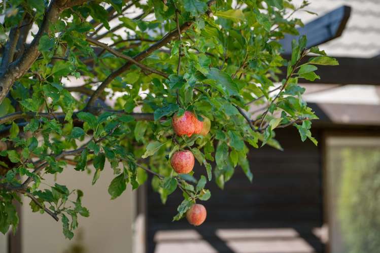 140 Beacon Point Road Wanaka_50