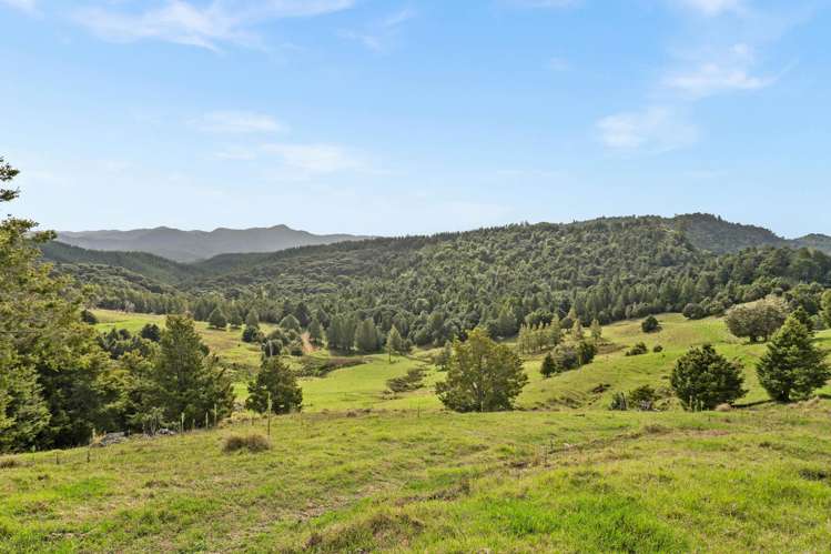 535 Omahuta Road Mangamuka_18