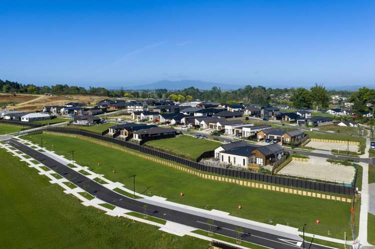 23 Oculus Terrace Peacocke_5