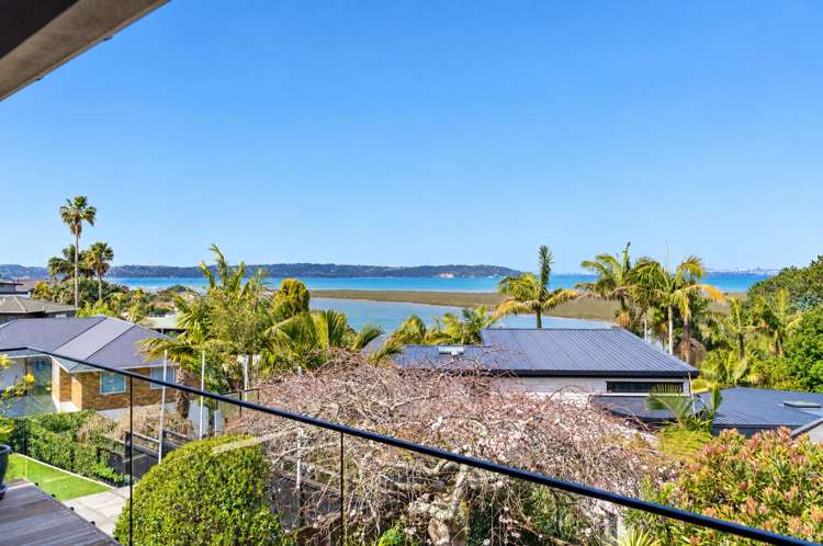 163 Luckens Road_1