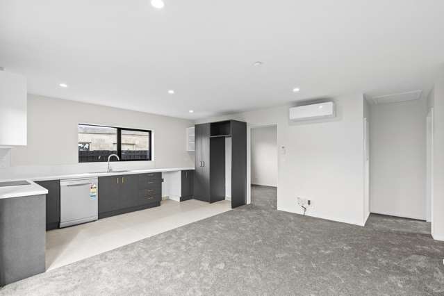 9A Gambia Street Papanui_2