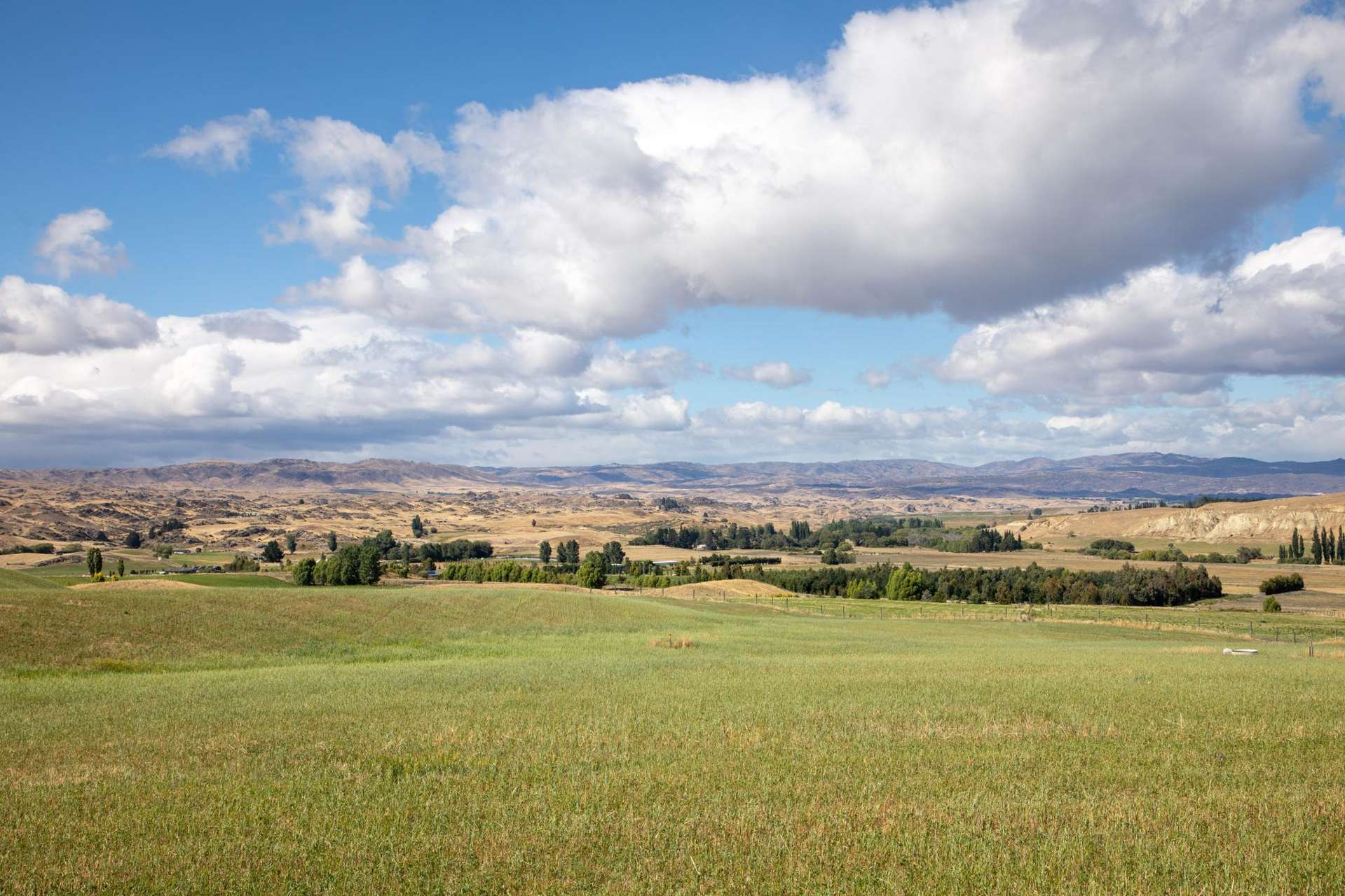 Lot/12A Kinney Road Chatto Creek_0