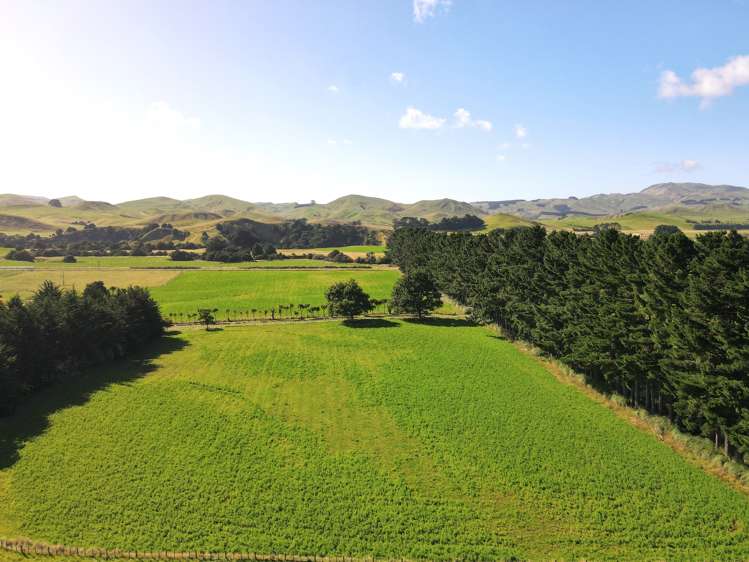 685 Waitahora Road Dannevirke_19