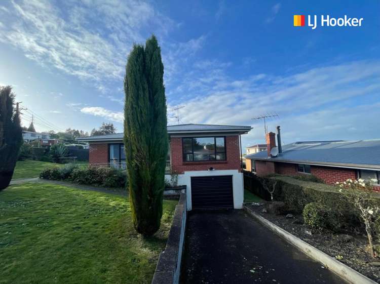 21 Turner Street Halfway Bush_0