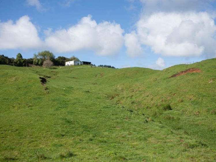 450 Ngapaenga Road Pomarangai_5