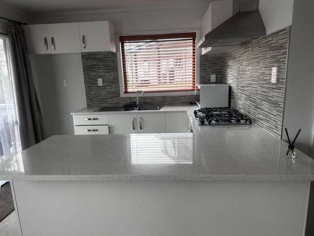 41A Hollyford Drive Clover Park_4