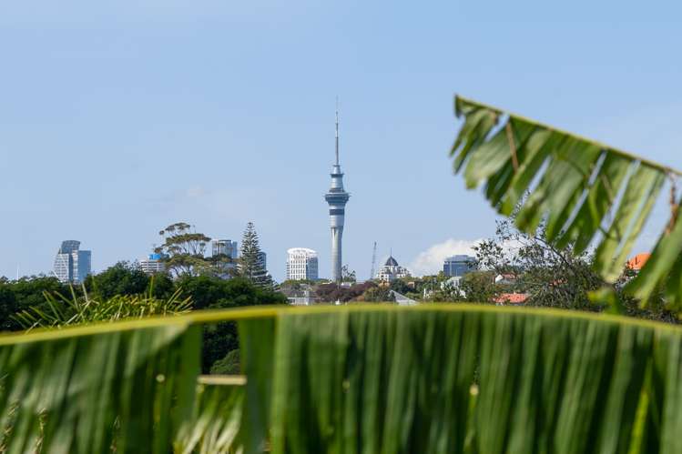 64a Wainui Avenue Point Chevalier_8