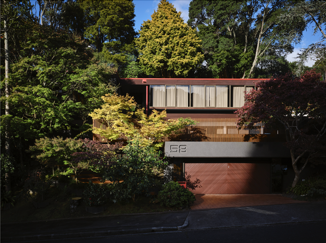 'It's not a house, it's art': Iconic house attracts 200 people at first open home