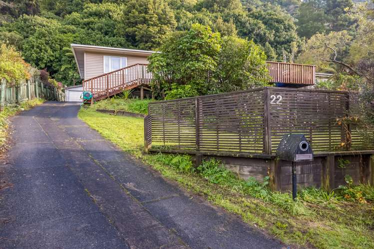 22 Bridge Road Birchville_19