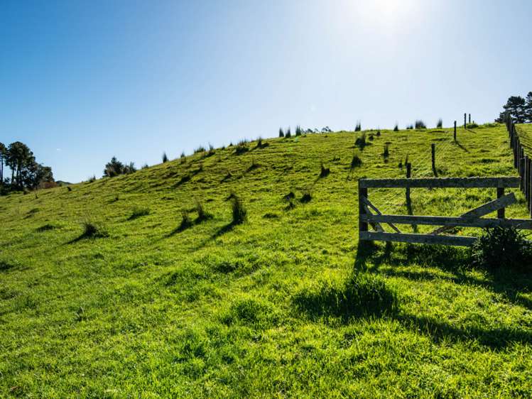 Ruatiti Road Raetihi_10