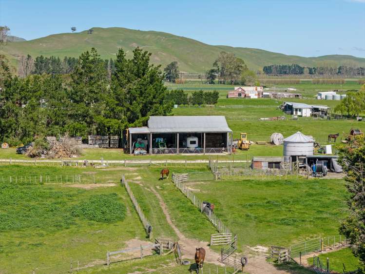 264 Paki Paki Road Longlands_8