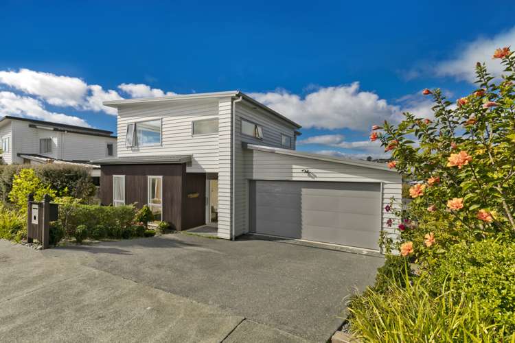 50 Remuremu Street Long Bay_0