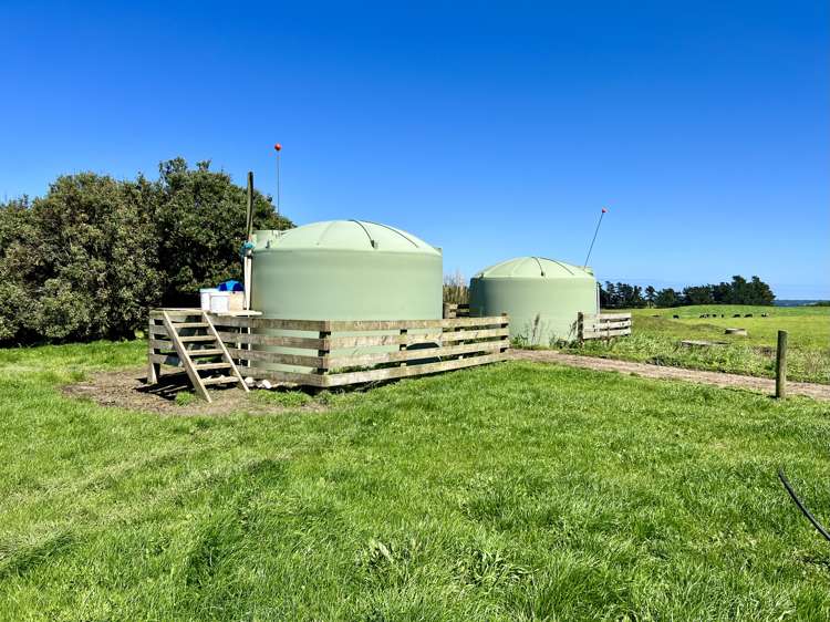 149 Paerewa Road Waverley_10